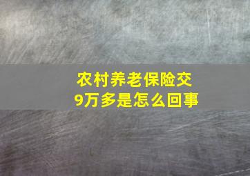 农村养老保险交9万多是怎么回事