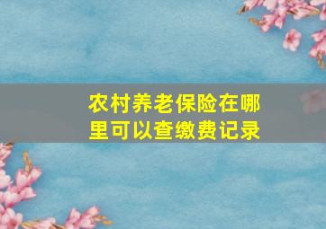 农村养老保险在哪里可以查缴费记录