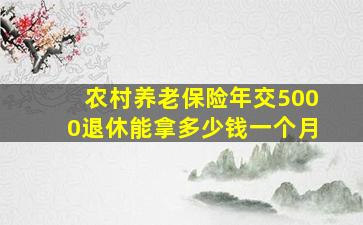 农村养老保险年交5000退休能拿多少钱一个月