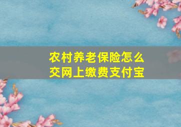 农村养老保险怎么交网上缴费支付宝