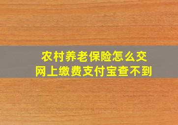 农村养老保险怎么交网上缴费支付宝查不到