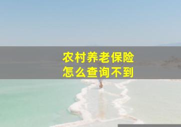 农村养老保险怎么查询不到