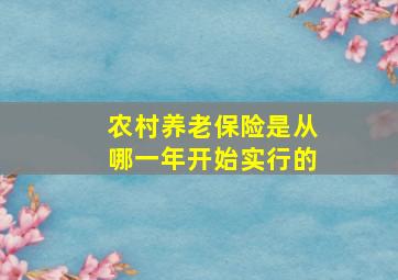 农村养老保险是从哪一年开始实行的