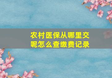 农村医保从哪里交呢怎么查缴费记录