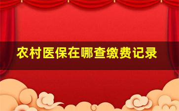 农村医保在哪查缴费记录