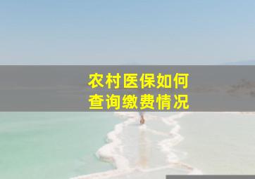 农村医保如何查询缴费情况