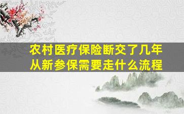 农村医疗保险断交了几年从新参保需要走什么流程