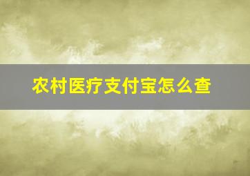 农村医疗支付宝怎么查