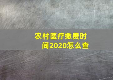 农村医疗缴费时间2020怎么查