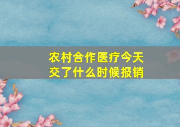 农村合作医疗今天交了什么时候报销