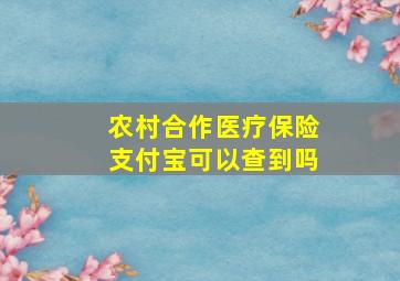 农村合作医疗保险支付宝可以查到吗