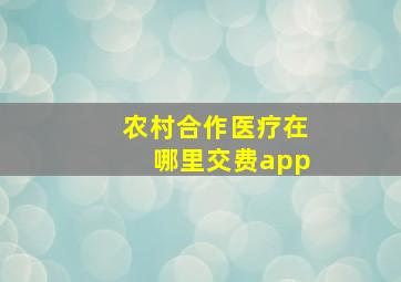 农村合作医疗在哪里交费app