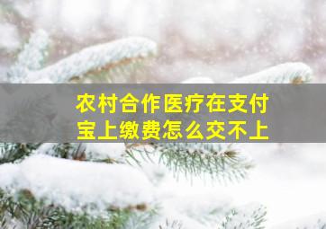 农村合作医疗在支付宝上缴费怎么交不上