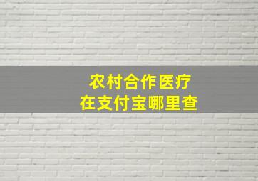 农村合作医疗在支付宝哪里查