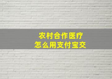 农村合作医疗怎么用支付宝交