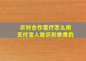 农村合作医疗怎么用支付宝人脸识别缴费的