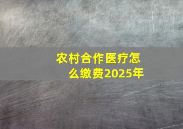 农村合作医疗怎么缴费2025年