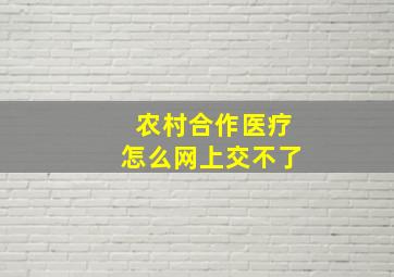 农村合作医疗怎么网上交不了