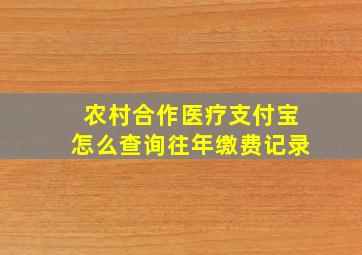 农村合作医疗支付宝怎么查询往年缴费记录