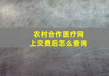 农村合作医疗网上交费后怎么查询