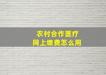 农村合作医疗网上缴费怎么用