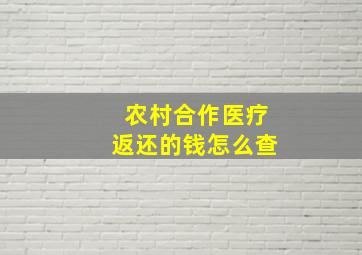 农村合作医疗返还的钱怎么查