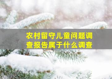 农村留守儿童问题调查报告属于什么调查