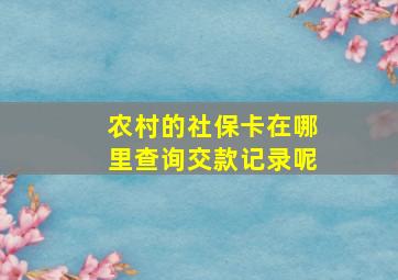 农村的社保卡在哪里查询交款记录呢