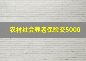 农村社会养老保险交5000