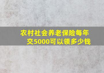 农村社会养老保险每年交5000可以领多少钱