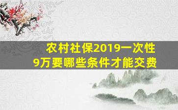 农村社保2019一次性9万要哪些条件才能交费