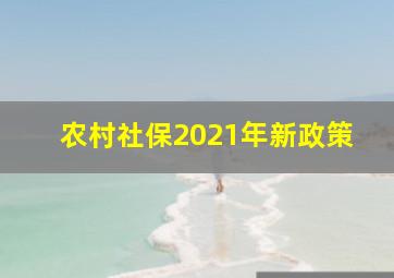 农村社保2021年新政策