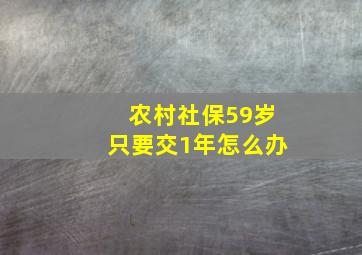 农村社保59岁只要交1年怎么办