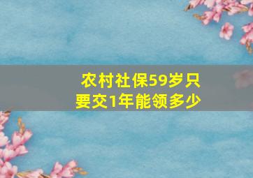 农村社保59岁只要交1年能领多少