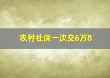 农村社保一次交6万8