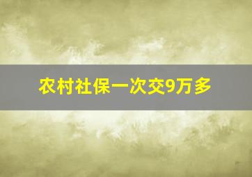 农村社保一次交9万多