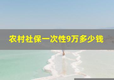 农村社保一次性9万多少钱