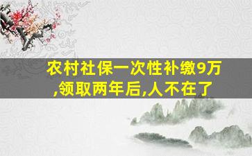 农村社保一次性补缴9万,领取两年后,人不在了