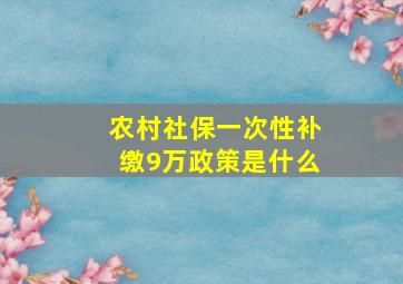 农村社保一次性补缴9万政策是什么