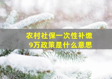 农村社保一次性补缴9万政策是什么意思