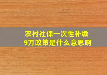 农村社保一次性补缴9万政策是什么意思啊