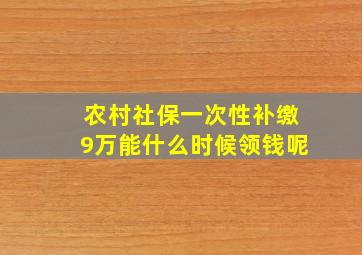 农村社保一次性补缴9万能什么时候领钱呢