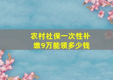 农村社保一次性补缴9万能领多少钱