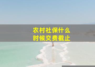 农村社保什么时候交费截止