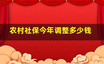 农村社保今年调整多少钱