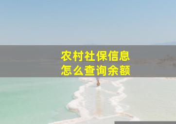 农村社保信息怎么查询余额