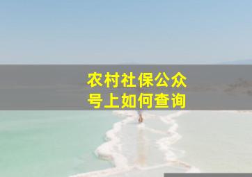 农村社保公众号上如何查询