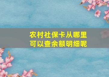 农村社保卡从哪里可以查余额明细呢