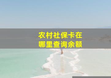 农村社保卡在哪里查询余额