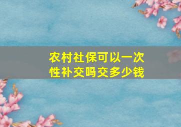 农村社保可以一次性补交吗交多少钱